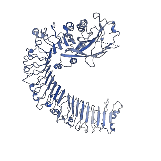 22380_7jlu_A_v1-2
Structure of the activated Roq1 resistosome directly recognizing the pathogen effector XopQ