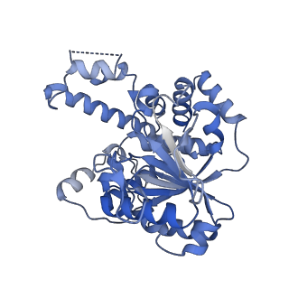 22380_7jlu_B_v1-1
Structure of the activated Roq1 resistosome directly recognizing the pathogen effector XopQ