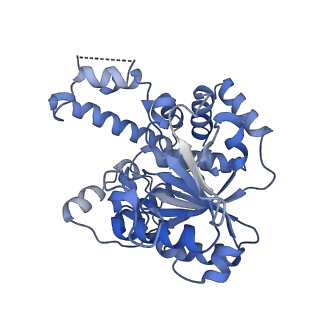 22380_7jlu_B_v1-2
Structure of the activated Roq1 resistosome directly recognizing the pathogen effector XopQ