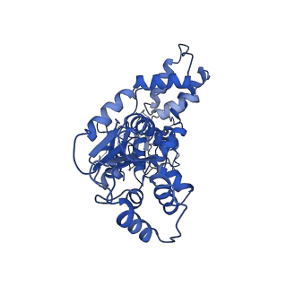 22381_7jlv_A_v1-1
Structure of the activated Roq1 resistosome directly recognizing the pathogen effector XopQ