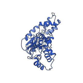 22381_7jlv_A_v1-2
Structure of the activated Roq1 resistosome directly recognizing the pathogen effector XopQ