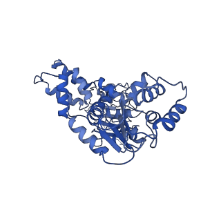 22381_7jlv_B_v1-1
Structure of the activated Roq1 resistosome directly recognizing the pathogen effector XopQ