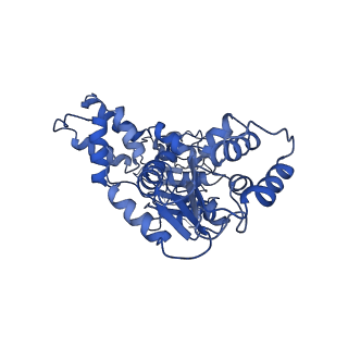 22381_7jlv_B_v1-2
Structure of the activated Roq1 resistosome directly recognizing the pathogen effector XopQ