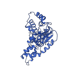 22381_7jlv_D_v1-1
Structure of the activated Roq1 resistosome directly recognizing the pathogen effector XopQ