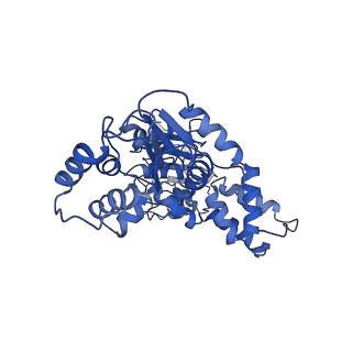 22381_7jlv_G_v1-1
Structure of the activated Roq1 resistosome directly recognizing the pathogen effector XopQ