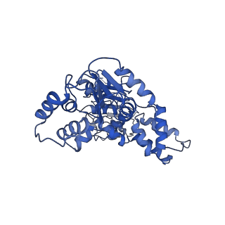 22381_7jlv_G_v1-2
Structure of the activated Roq1 resistosome directly recognizing the pathogen effector XopQ