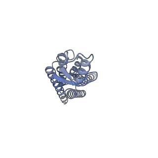 22382_7jlw_D_v1-0
Sheep Connexin-50 at 2.5 angstroms resolution, Lipid Class 1