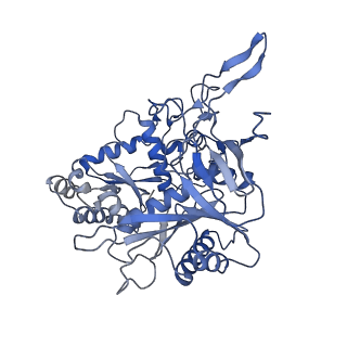 36385_8jl0_B_v1-0
Cryo-EM structure of the prokaryotic SPARSA system complex