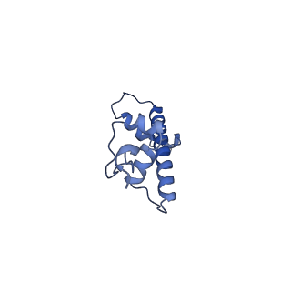 36389_8jl9_C_v1-1
Cryo-EM structure of the human nucleosome with scFv