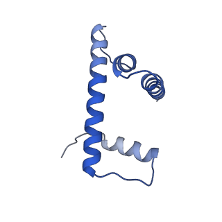 36389_8jl9_D_v1-1
Cryo-EM structure of the human nucleosome with scFv