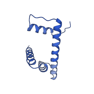 36389_8jl9_H_v1-1
Cryo-EM structure of the human nucleosome with scFv