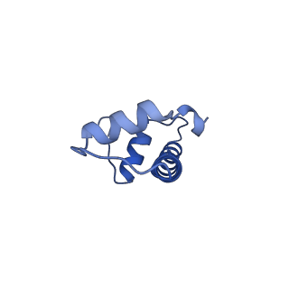 36390_8jla_B_v1-1
Cryo-EM structure of the human nucleosome lacking N-terminal region of H2A, H2B, H3, and H4