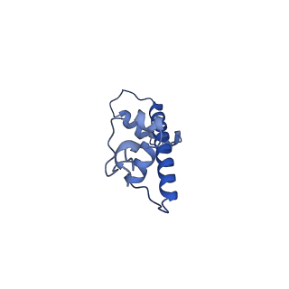 36390_8jla_C_v1-1
Cryo-EM structure of the human nucleosome lacking N-terminal region of H2A, H2B, H3, and H4