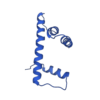 36390_8jla_D_v1-1
Cryo-EM structure of the human nucleosome lacking N-terminal region of H2A, H2B, H3, and H4