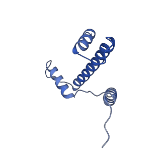 36390_8jla_E_v1-1
Cryo-EM structure of the human nucleosome lacking N-terminal region of H2A, H2B, H3, and H4