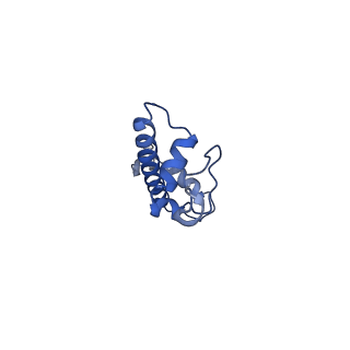 36390_8jla_G_v1-1
Cryo-EM structure of the human nucleosome lacking N-terminal region of H2A, H2B, H3, and H4