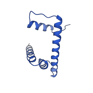 36390_8jla_H_v1-1
Cryo-EM structure of the human nucleosome lacking N-terminal region of H2A, H2B, H3, and H4