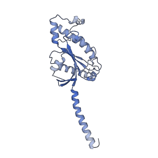 36399_8jlj_A_v1-1
T1AM-bound mTAAR1-Gs protein complex
