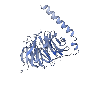 36399_8jlj_B_v1-1
T1AM-bound mTAAR1-Gs protein complex
