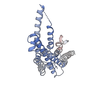 36399_8jlj_R_v1-1
T1AM-bound mTAAR1-Gs protein complex