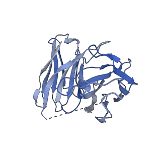 36399_8jlj_S_v1-1
T1AM-bound mTAAR1-Gs protein complex