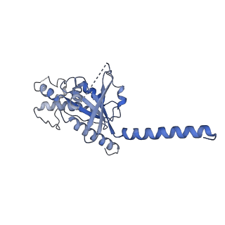 36400_8jlk_A_v1-1
Ulotaront(SEP-363856)-bound mTAAR1-Gs protein complex