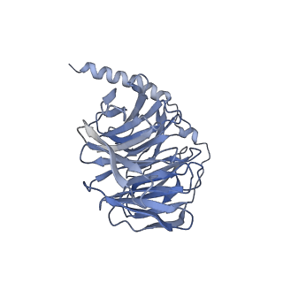 36400_8jlk_B_v1-1
Ulotaront(SEP-363856)-bound mTAAR1-Gs protein complex