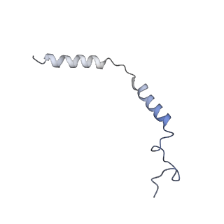 36400_8jlk_Y_v1-1
Ulotaront(SEP-363856)-bound mTAAR1-Gs protein complex