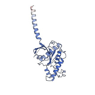 36401_8jln_A_v1-1
T1AM-bound hTAAR1-Gs protein complex