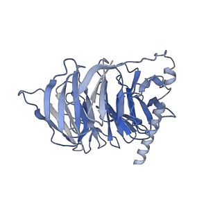 36401_8jln_B_v1-1
T1AM-bound hTAAR1-Gs protein complex