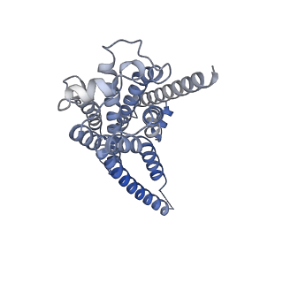 36401_8jln_R_v1-1
T1AM-bound hTAAR1-Gs protein complex