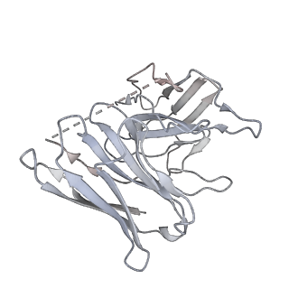36401_8jln_S_v1-1
T1AM-bound hTAAR1-Gs protein complex