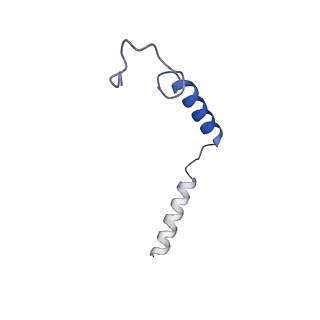 36401_8jln_Y_v1-1
T1AM-bound hTAAR1-Gs protein complex