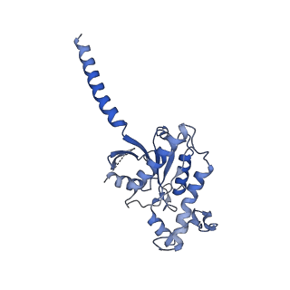 36402_8jlo_A_v1-1
Ulotaront(SEP-363856)-bound hTAAR1-Gs protein complex
