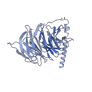 36402_8jlo_B_v1-1
Ulotaront(SEP-363856)-bound hTAAR1-Gs protein complex