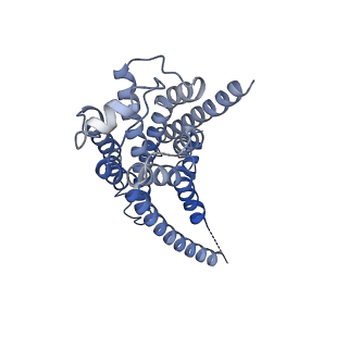 36402_8jlo_R_v1-1
Ulotaront(SEP-363856)-bound hTAAR1-Gs protein complex
