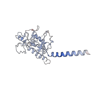 36403_8jlp_A_v1-1
Ralmitaront(RO-6889450)-bound hTAAR1-Gs protein complex