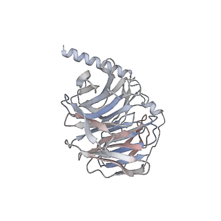 36403_8jlp_B_v1-1
Ralmitaront(RO-6889450)-bound hTAAR1-Gs protein complex
