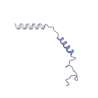 36403_8jlp_Y_v1-1
Ralmitaront(RO-6889450)-bound hTAAR1-Gs protein complex