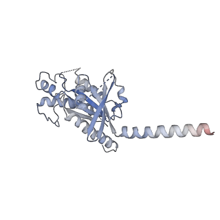 36404_8jlq_A_v1-1
Fenoldopam-bound hTAAR1-Gs protein complex