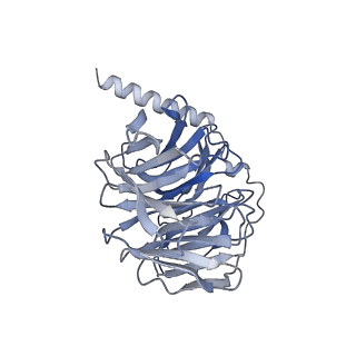 36404_8jlq_B_v1-1
Fenoldopam-bound hTAAR1-Gs protein complex