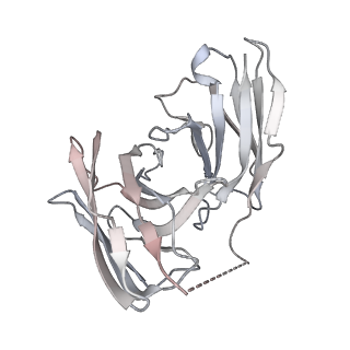 36404_8jlq_S_v1-1
Fenoldopam-bound hTAAR1-Gs protein complex