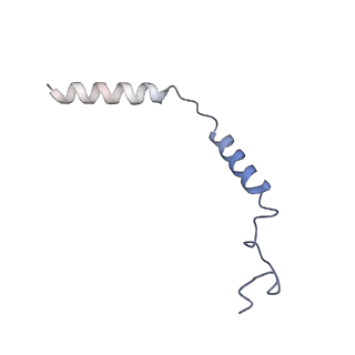 36404_8jlq_Y_v1-1
Fenoldopam-bound hTAAR1-Gs protein complex