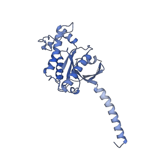 36405_8jlr_A_v1-1
A77636-bound hTAAR1-Gs protein complex
