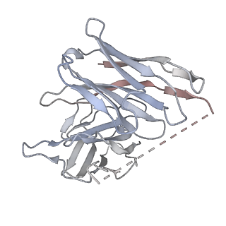 36405_8jlr_S_v1-1
A77636-bound hTAAR1-Gs protein complex