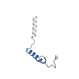 36405_8jlr_Y_v1-1
A77636-bound hTAAR1-Gs protein complex