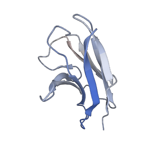 36406_8jlw_L_v1-0
CCHFV envelope protein Gc in complex with Gc8