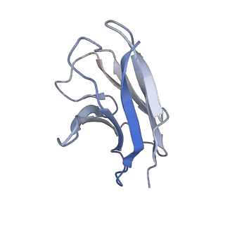 36406_8jlw_L_v1-1
CCHFV envelope protein Gc in complex with Gc8