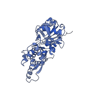 8164_5jlh_A_v1-6
Cryo-EM structure of a human cytoplasmic actomyosin complex at near-atomic resolution