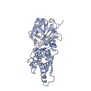 8164_5jlh_B_v1-6
Cryo-EM structure of a human cytoplasmic actomyosin complex at near-atomic resolution